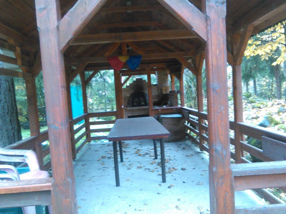 Inchiriez cabana inclusiv revelion 2026, zona Fâncel/Lăpușna/Ibănești.