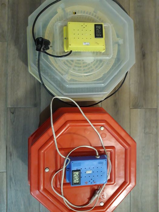 Incubatoare oua cleo5