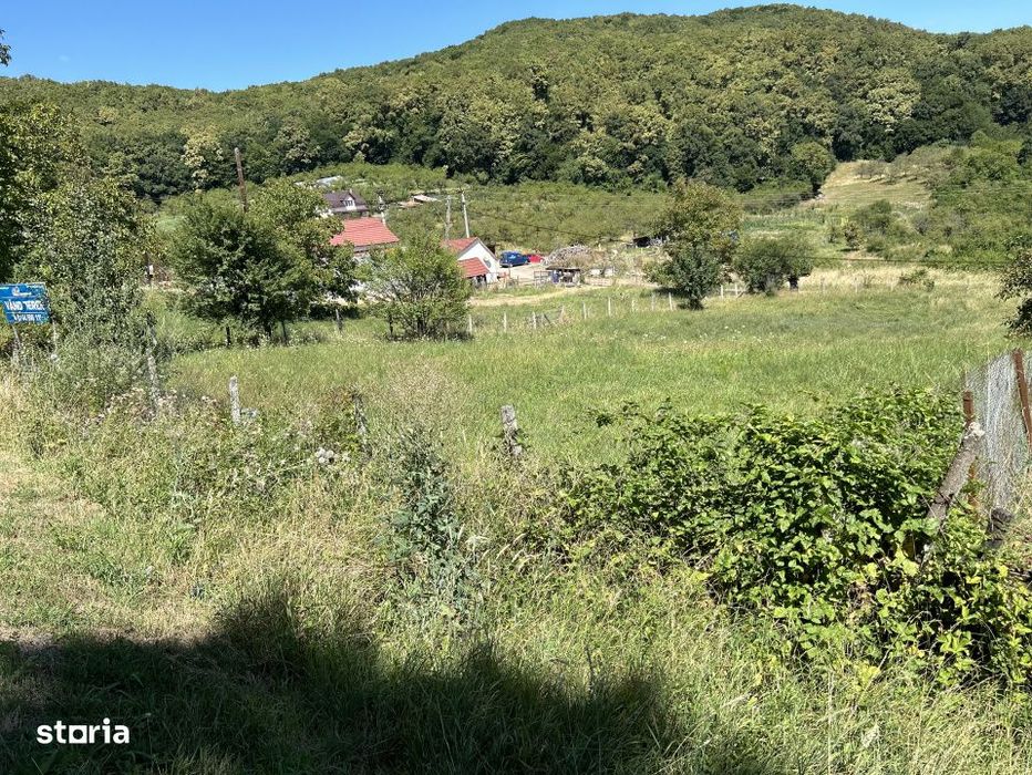 Teren  Valea Rusului  1600 mp  Dealul Targului zona cu constructi.