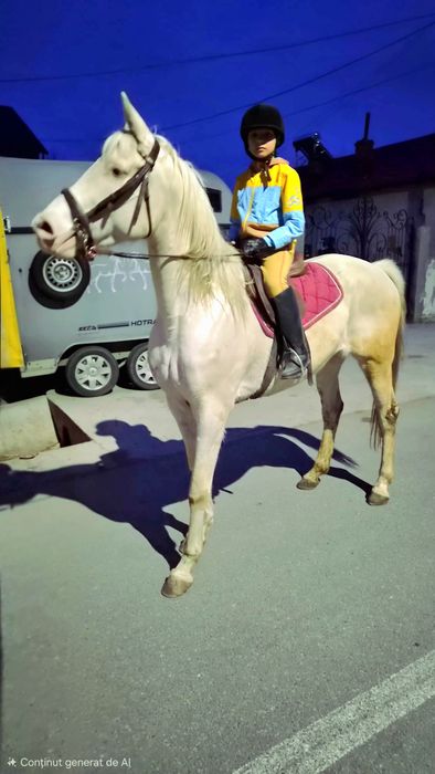 Cai pt echitatie terapie si agrement