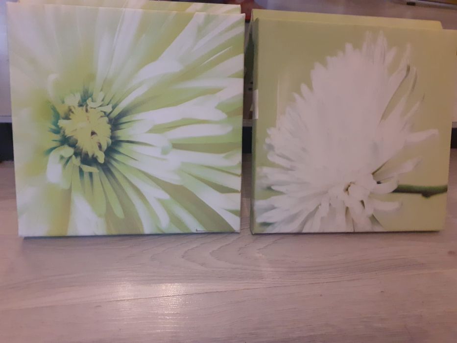 Tablouri canvas și tablouri cu rama