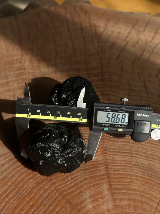 Тренировъчна пластмасова играчка “Трюфел” за кучета