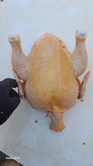 Мясо домашнего бройлера
