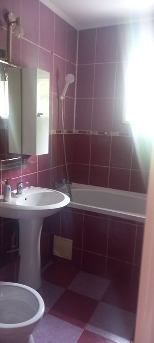 3 camere, Petre Ispirescu