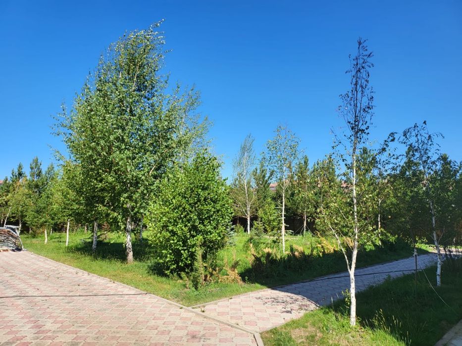 ОЗЕЛЕНЕНИЕ Профессионально