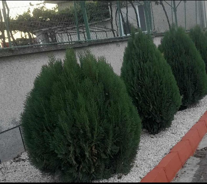 Доставка на пясък земновлажен бетон ,филц  ,чакъл