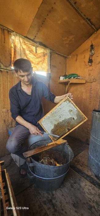 Toza tabiy asal tog' Paxta