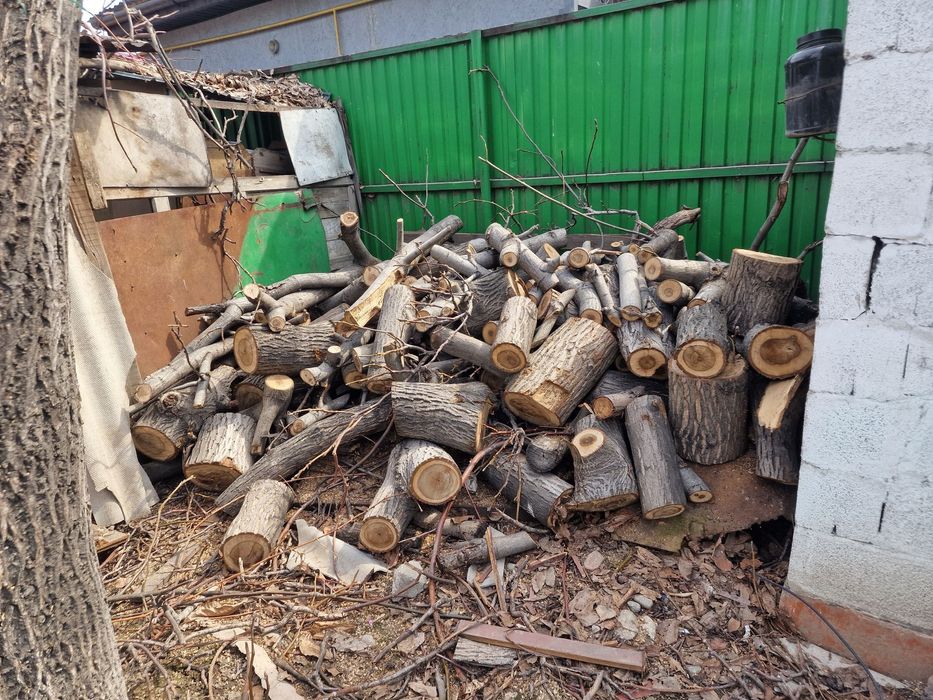 Пеньки и дрова плодовых деревьев