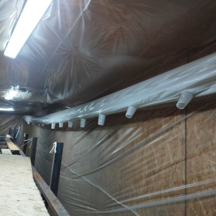 грибница в контейнере