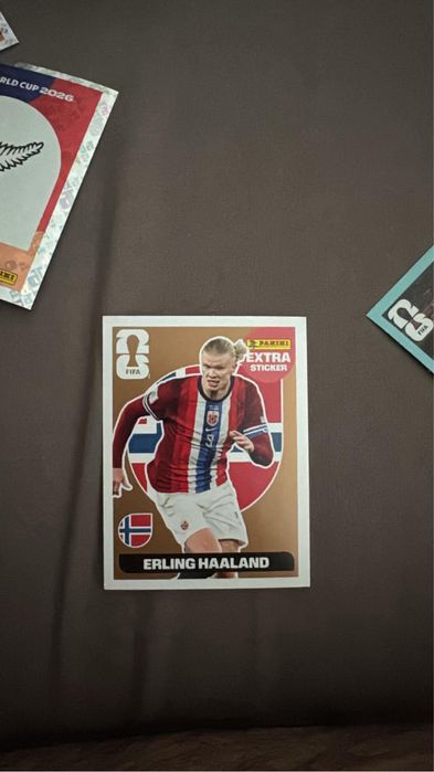 Haaland extra sticker bronze panini 2026