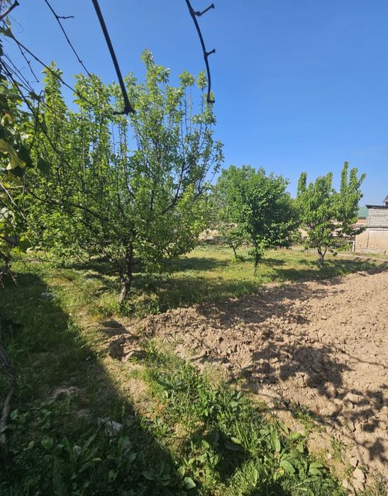 Дурмон Қ.Ф.Й. Янги Арген маҳ. 3 сотих ер участкаси сотилади.