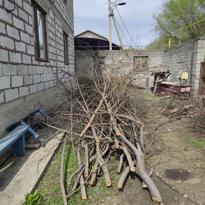 Дрова бесплатно самовывоз