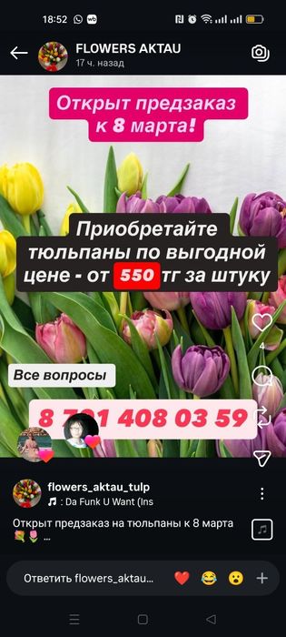 Тюльпаны большой выбор