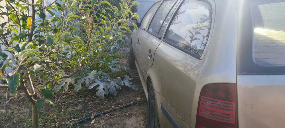 FIer Vechi SKoda OCtavia 1