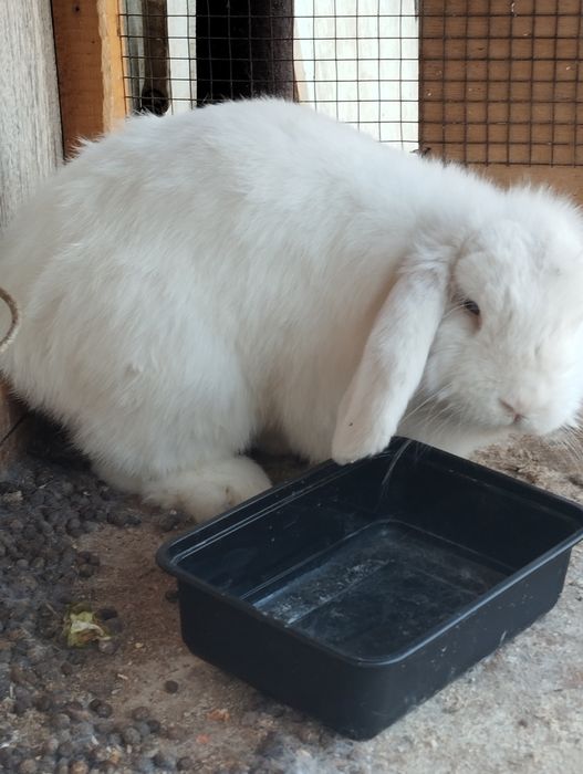 Nopok ayol oyoqlari bekasi va qul porno video tomosha