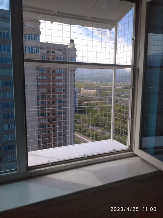 Кошка на окошке , кошачий балкончик