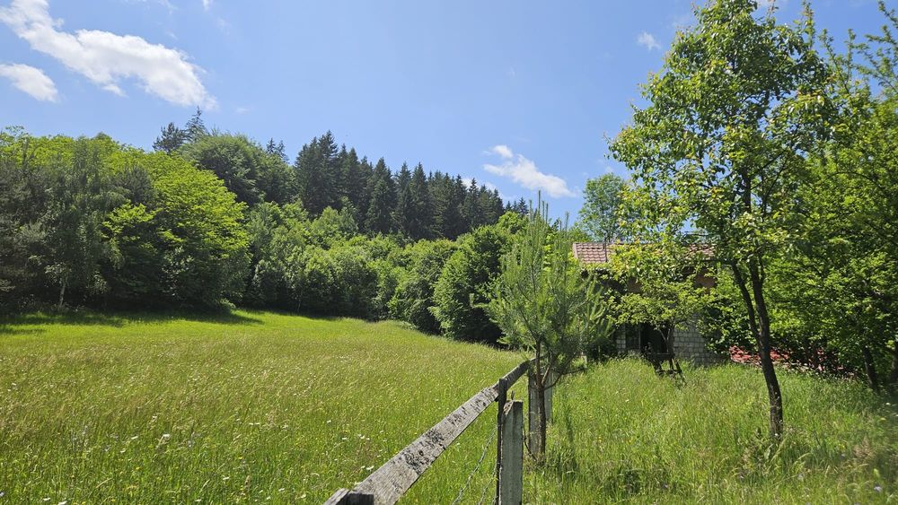 SITA BUZĂULUI – Proprietate deosebită cu teren intravilan 1.600 mp, pârâu, fâneață și pădure