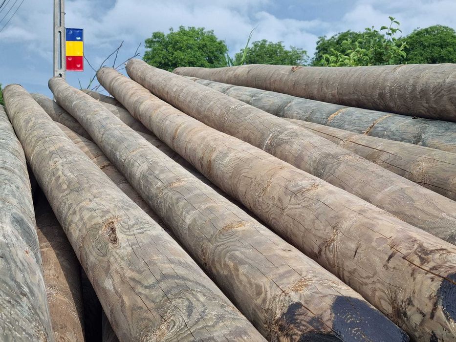 Stalpi de lemn pentru retele electrice telecomunicatii constructii lemn stalpi impregnati ecologic