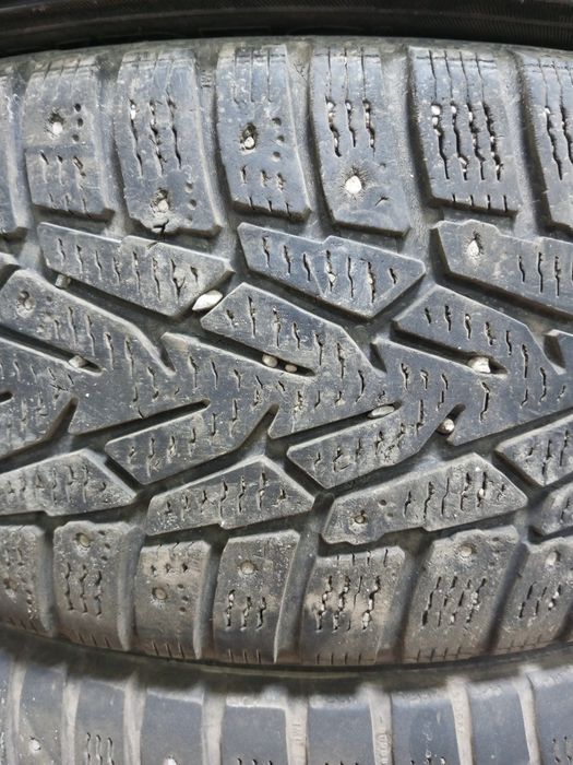 Авторезина нордман