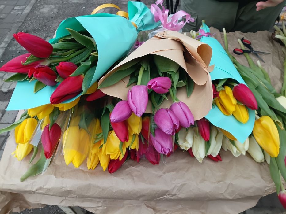 Тюльпаны в упаковке и без