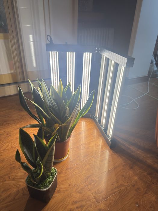 LED Grow Light Full Spectrum 320W Для Всех Видов Растений, ЛАМПА ЛЭД