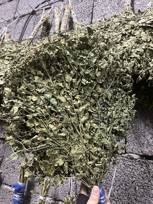 Веник для бани из солодки