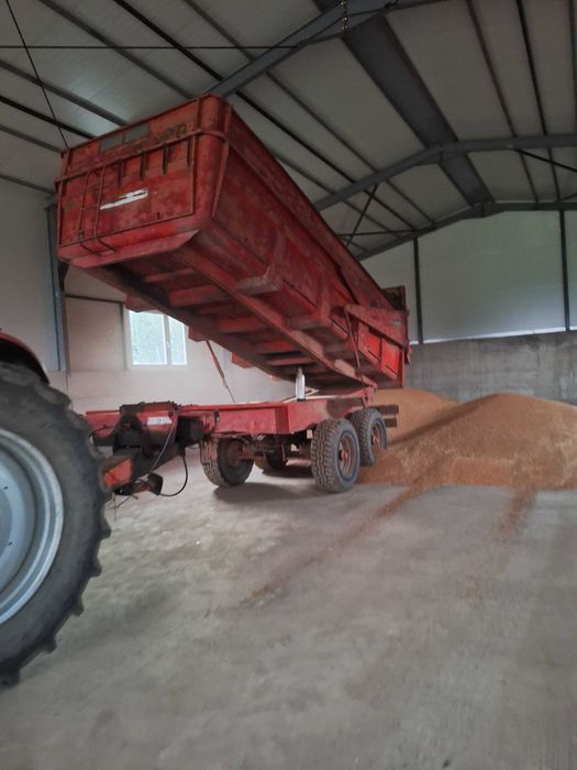 Vând grau panificație