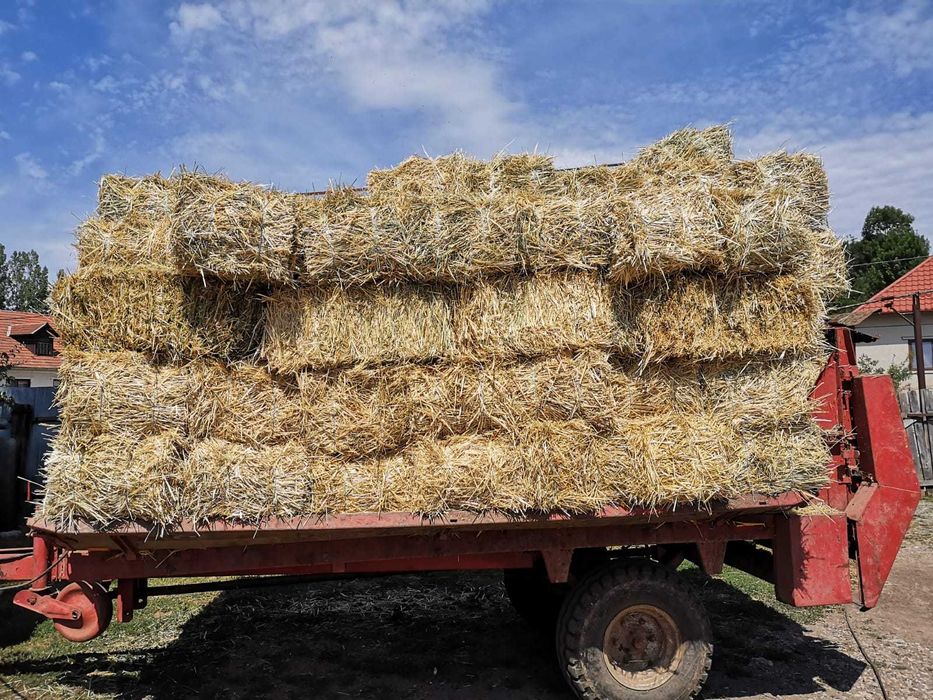 Vand baloti de fan, lucerna si otava