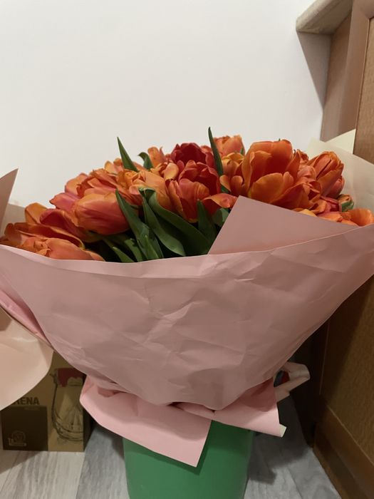 Продам 101 тюльпан