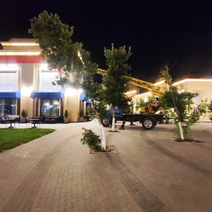 Услуги Автовышка АГП  Вышка