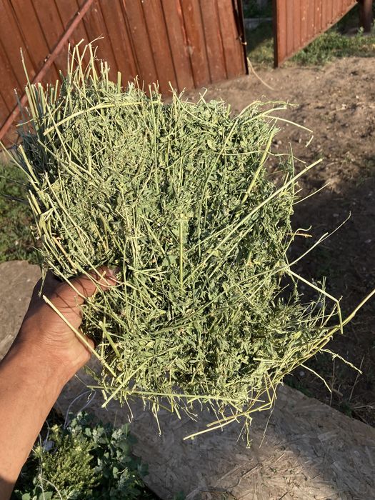 Продаю сено тюки  и рулон