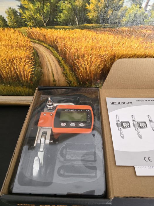 Cantar electronic suspendat 500kg