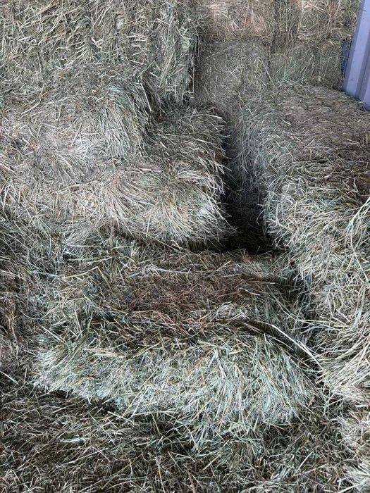 Продам сено в тюках