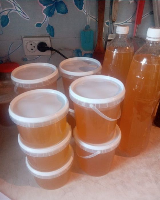 Мед натуральный (Бал)