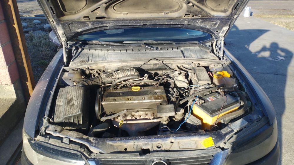 Мал болсада ауысамын