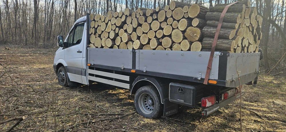 Lemn de foc in tot județul Iași