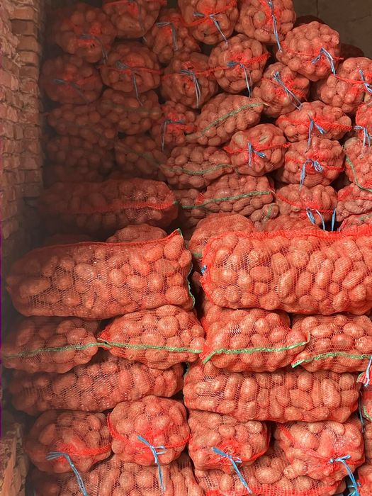 Cartof consum si samanta Riviera ,Rivola, Carrera, Arizona