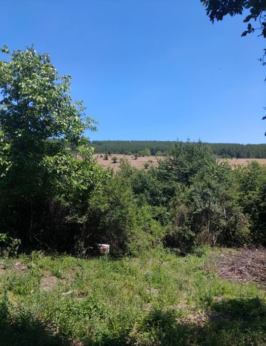 Продава парцел в с.Долна Диканя обл.Перник