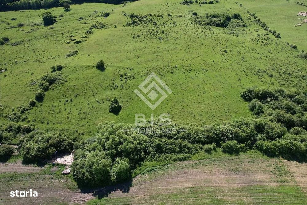 Teren Valea - Stanelor 21.600 mp