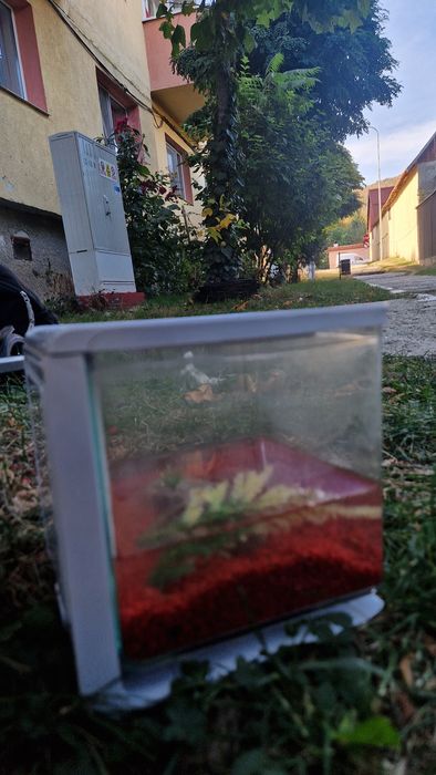 Acvariu de pești Marina beta kit
