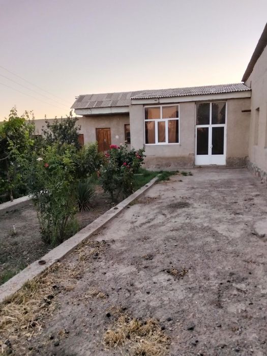 Kogon tumani Qalqon qishlogʻida 15 soʻtiqli Uchastka sotiladi