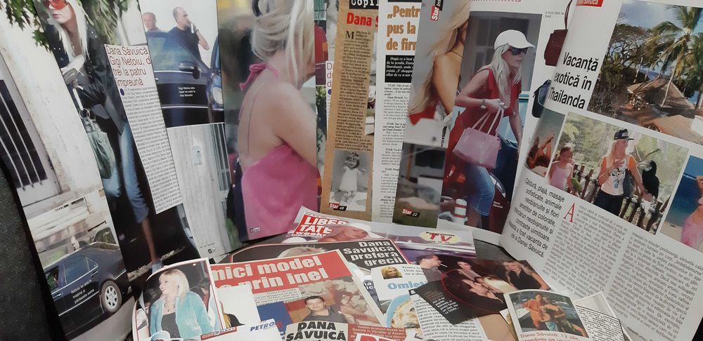 Colectie de articole cu Dana Savuica