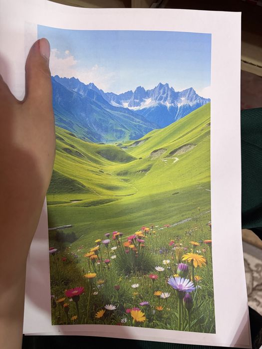 принтер EPSON L121