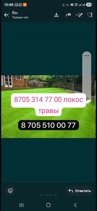 Покос травы шоп шабу