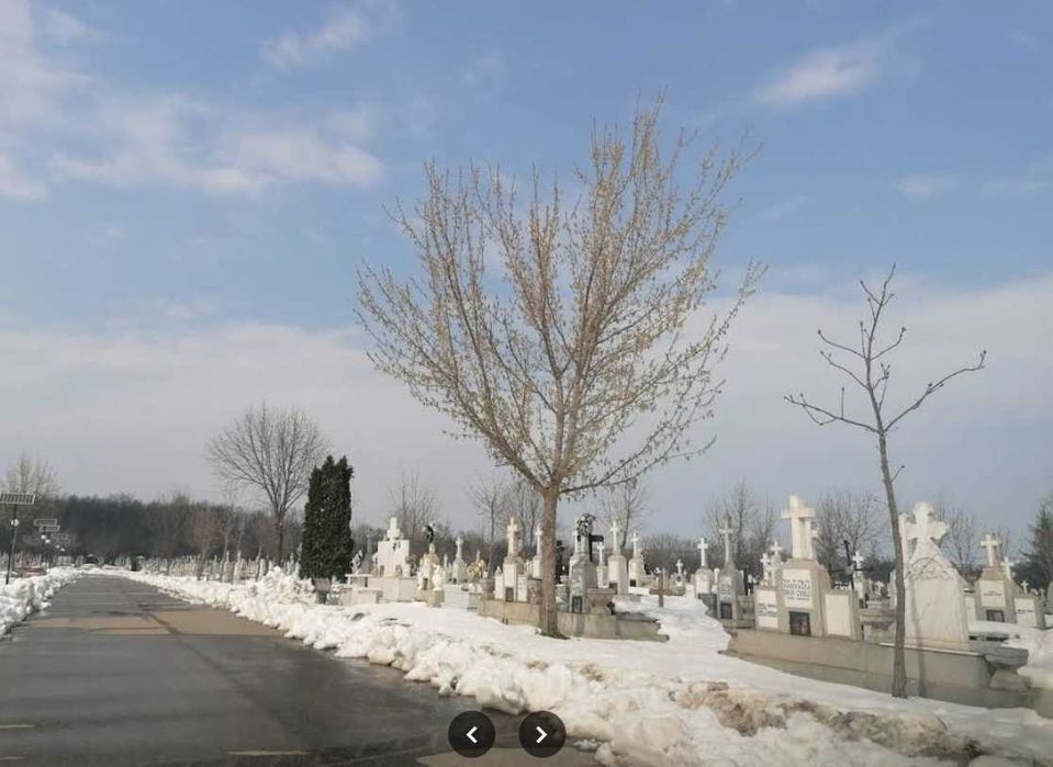 Cavou (2 locuri de veci) în Cimitirul Petru și Pavel Iași