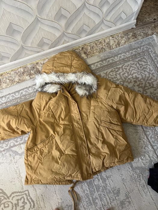 Отдам бесплатно осень весна