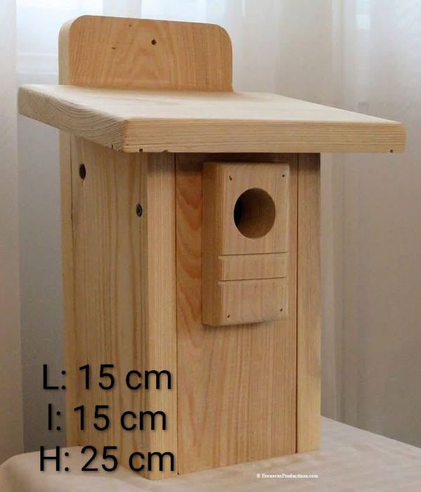 Cuiburi peruși, zebre , papagali, veverițe, hamsteri, diferite tipuri