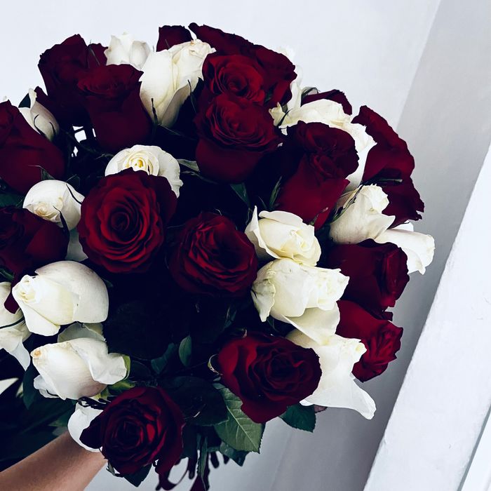 Белые красные розы, 51шт свежые красивые розы
