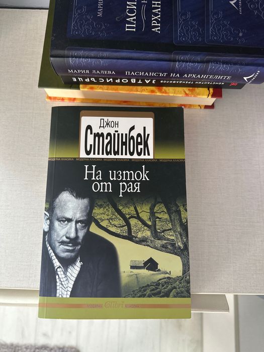 Книги/ романи.