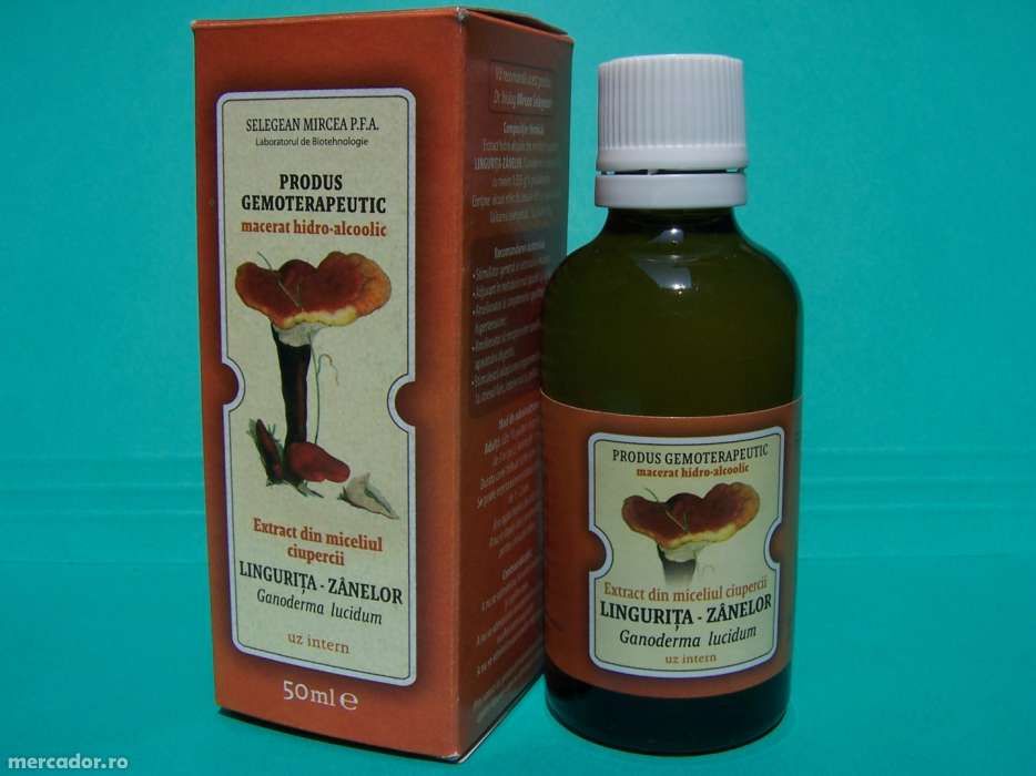 Vand Puieti De Aluni Carpen Sau Plop Micorizati Cu Trufe Albe Negre Timisoara Olx Ro